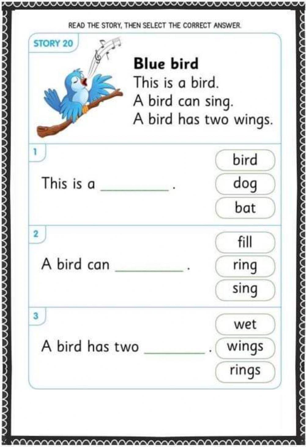Bird interactive worksheet | Live Worksheets