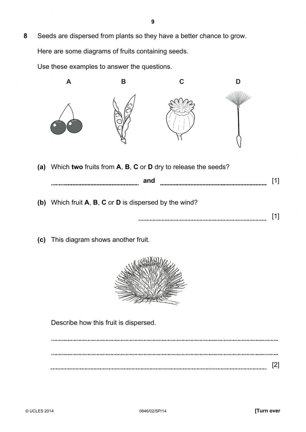 Practice Cambridge Science Checkpoint Primary Test