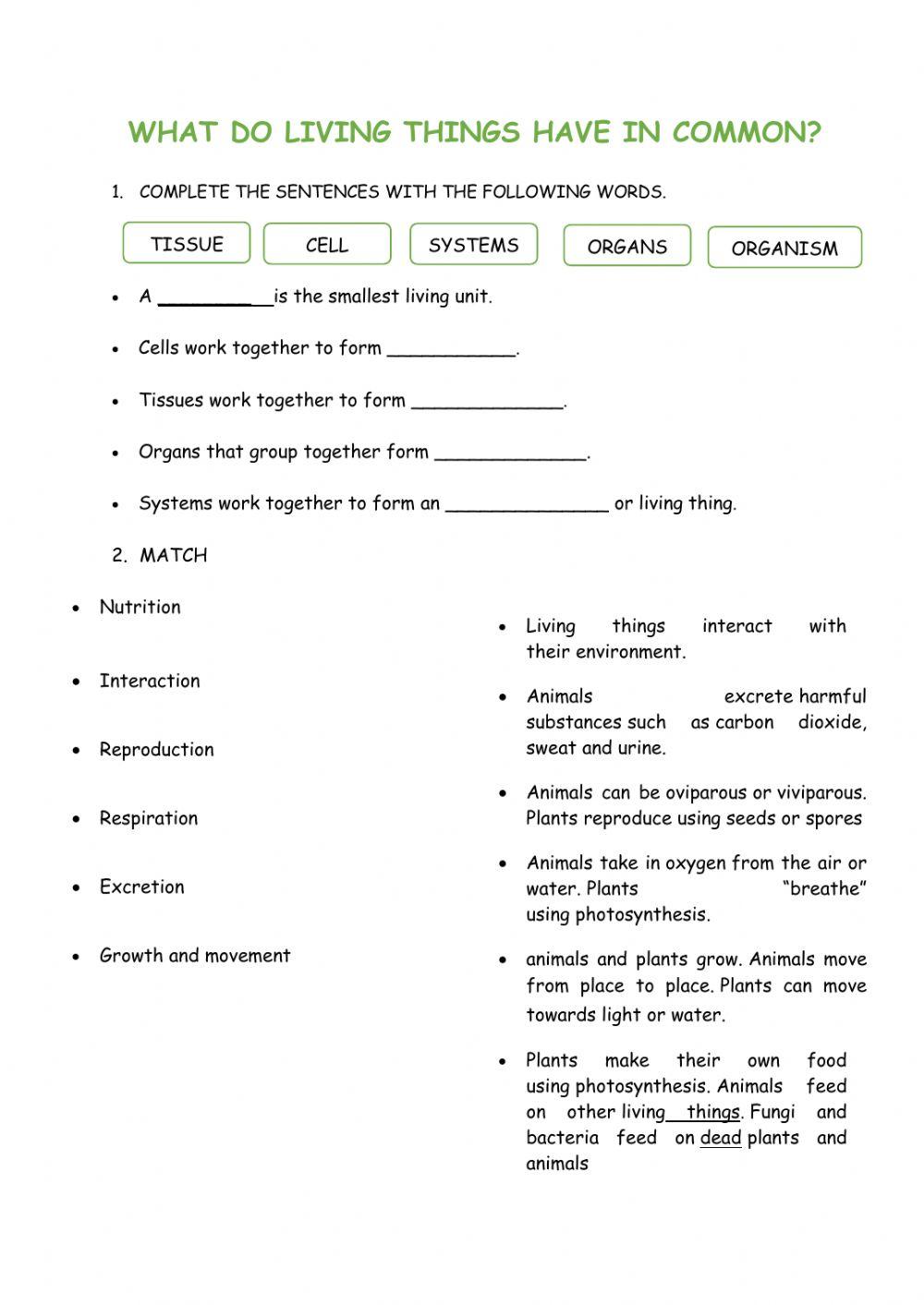 what-do-living-things-have-in-common-worksheet-live-worksheets