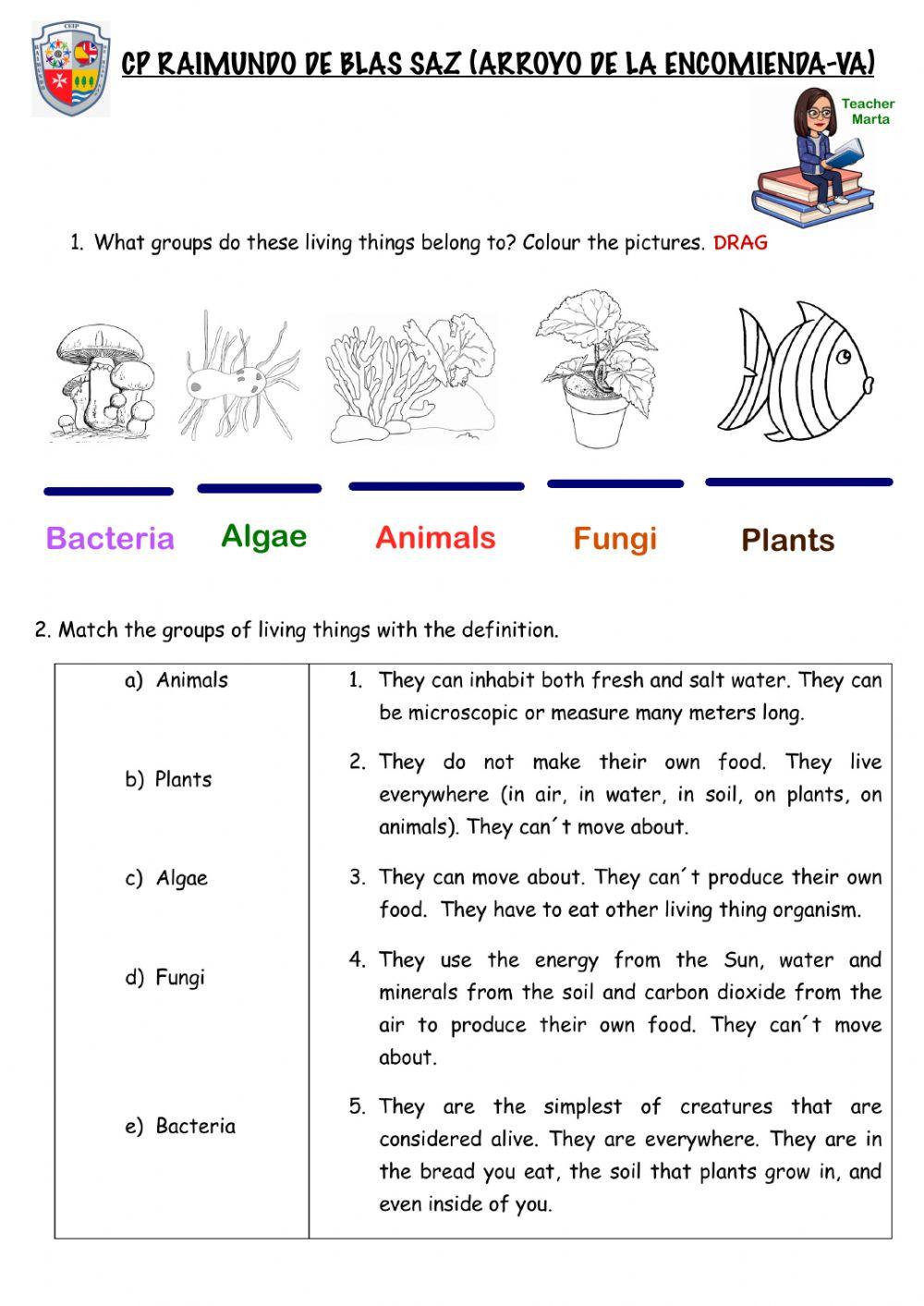 Unit 4 Classifying Living Things worksheet | Live Worksheets unit-4-classifying-living-things-worksheet-live-worksheets