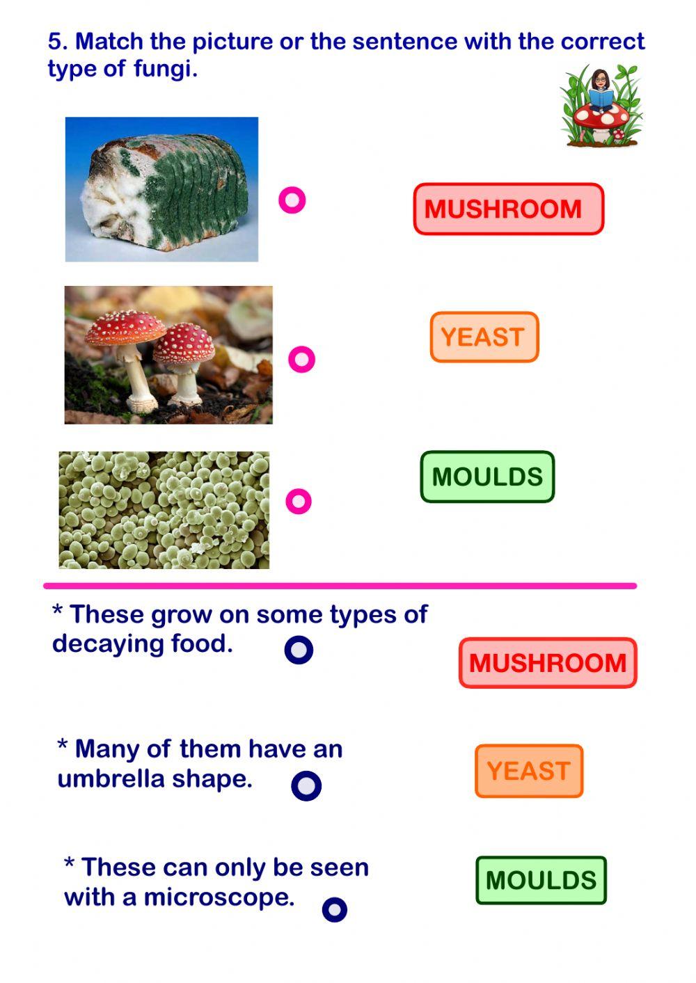 Unit 4 Classifying Living Things