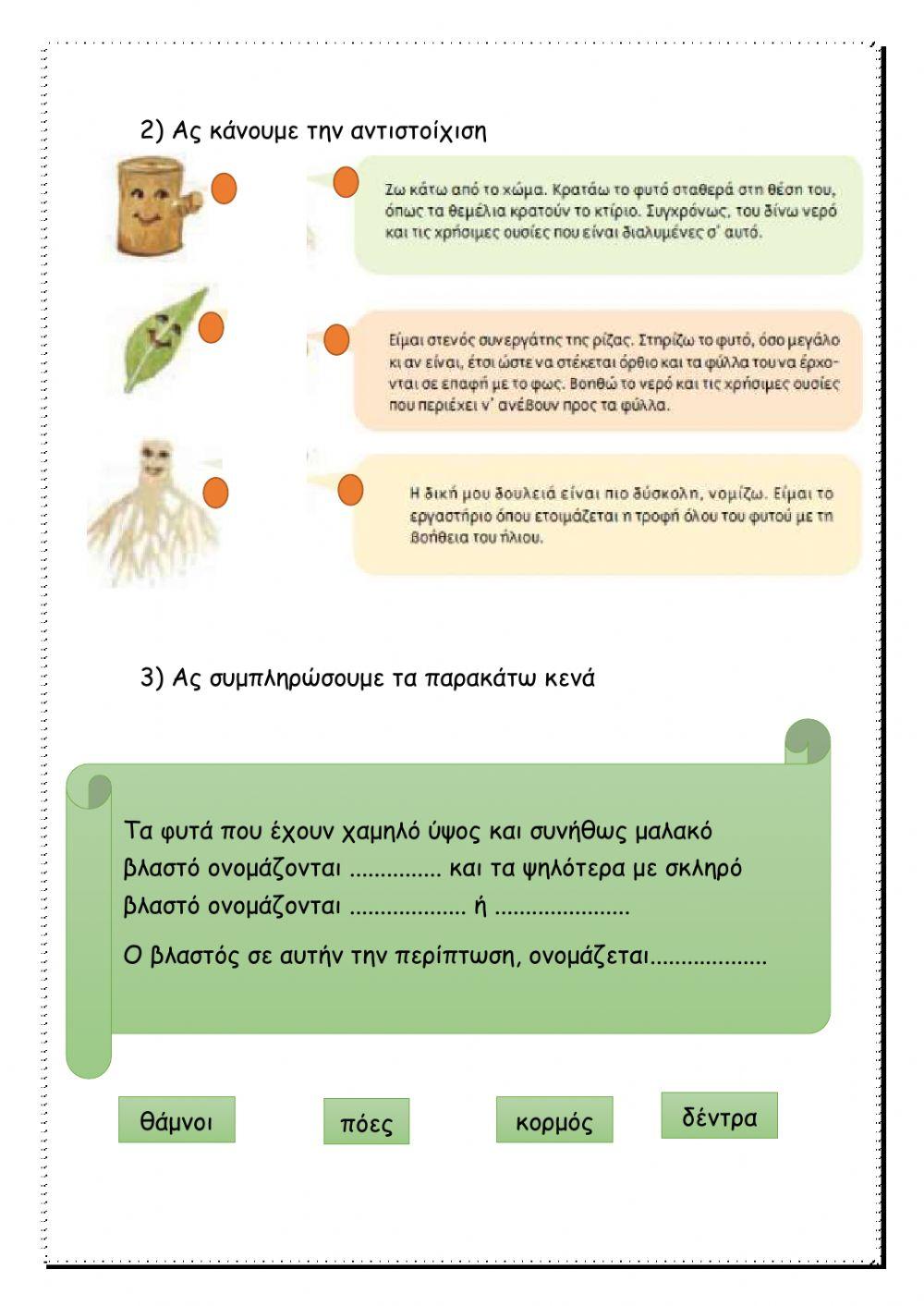 Τα μέρη του φυτού