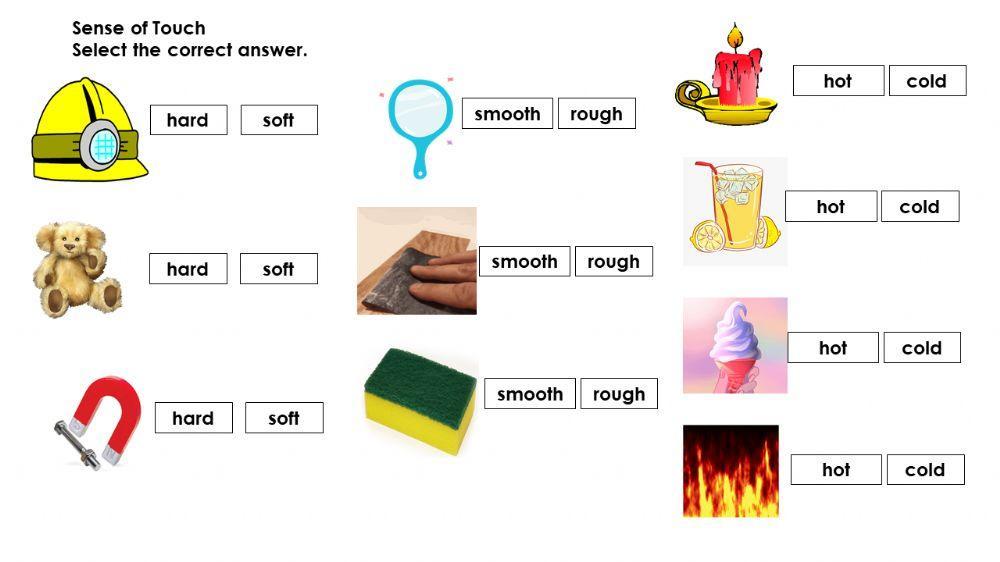 Sense of Touch exercise | Live Worksheets sense-of-touch-exercise-live-worksheets