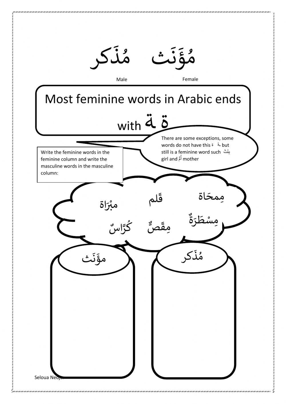 Feminine and Masculine words in Arabic