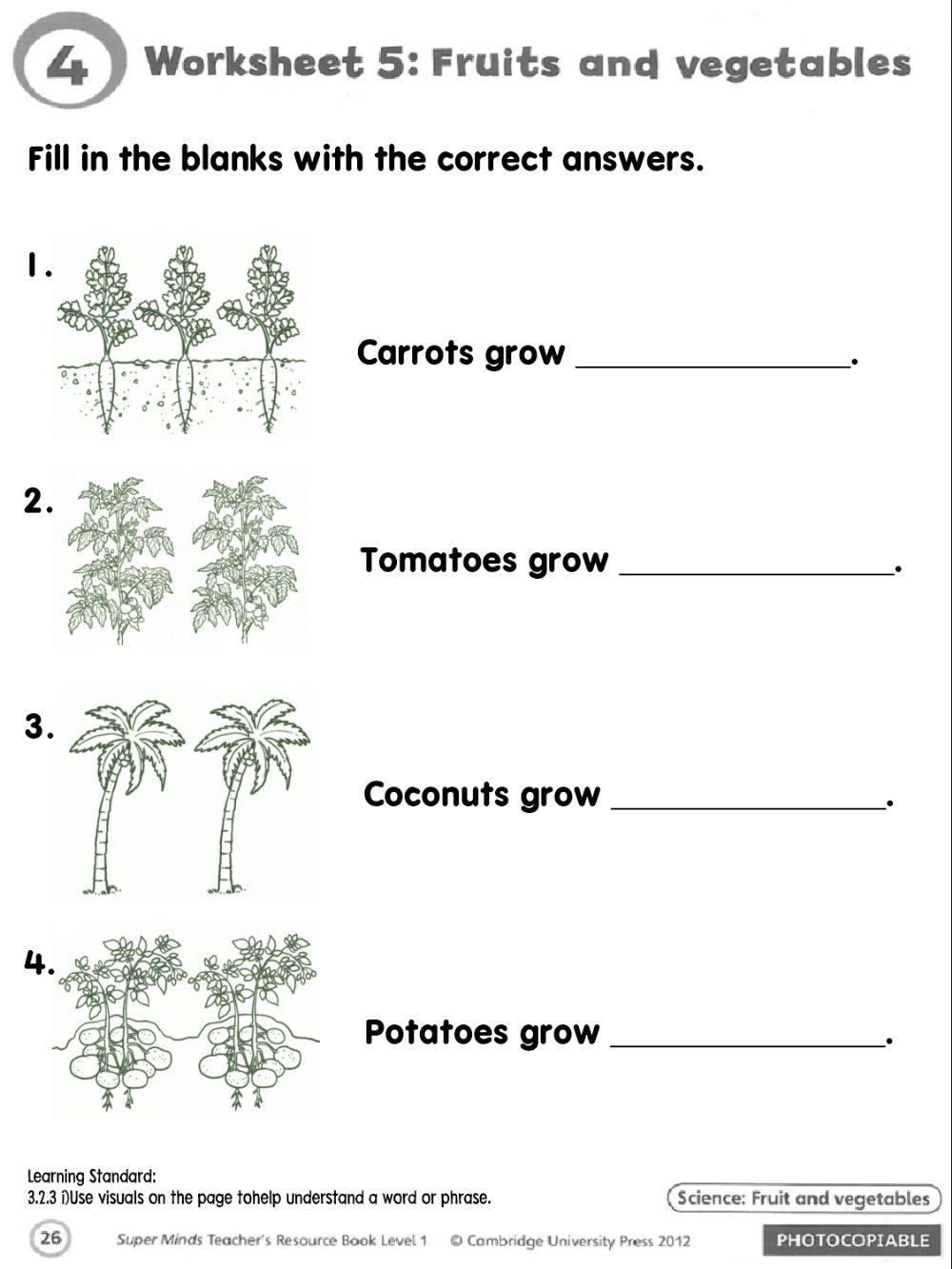 Unit 4: Lunchtime - Where do they grow? (Reading)