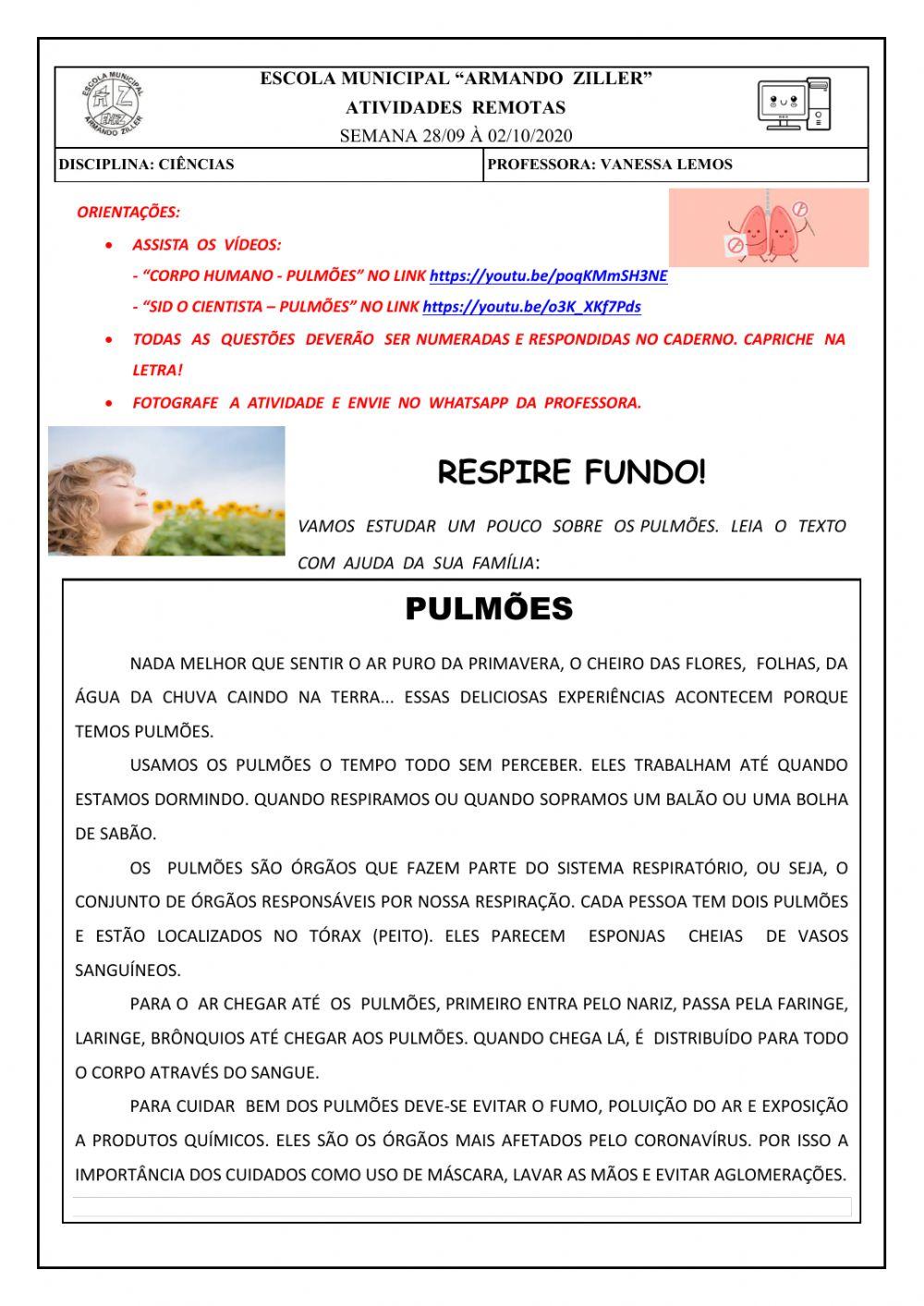 Aparelho respiratório