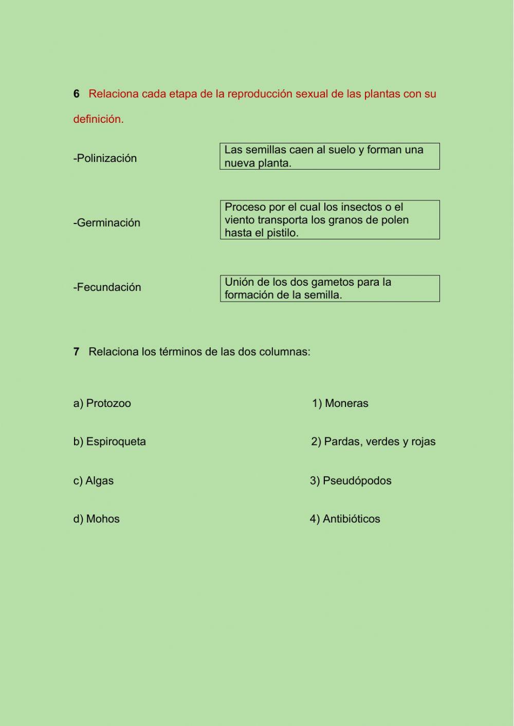 Naturales 6º-Unidad 1 (2ª parte)