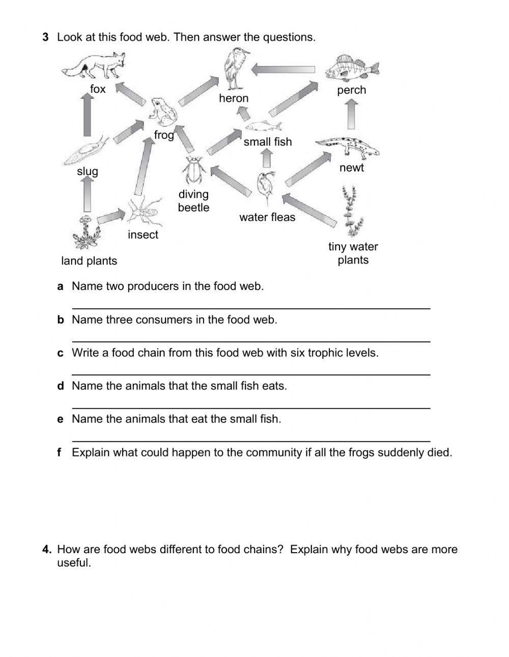 LiveWorksheets Biology Diagrams
