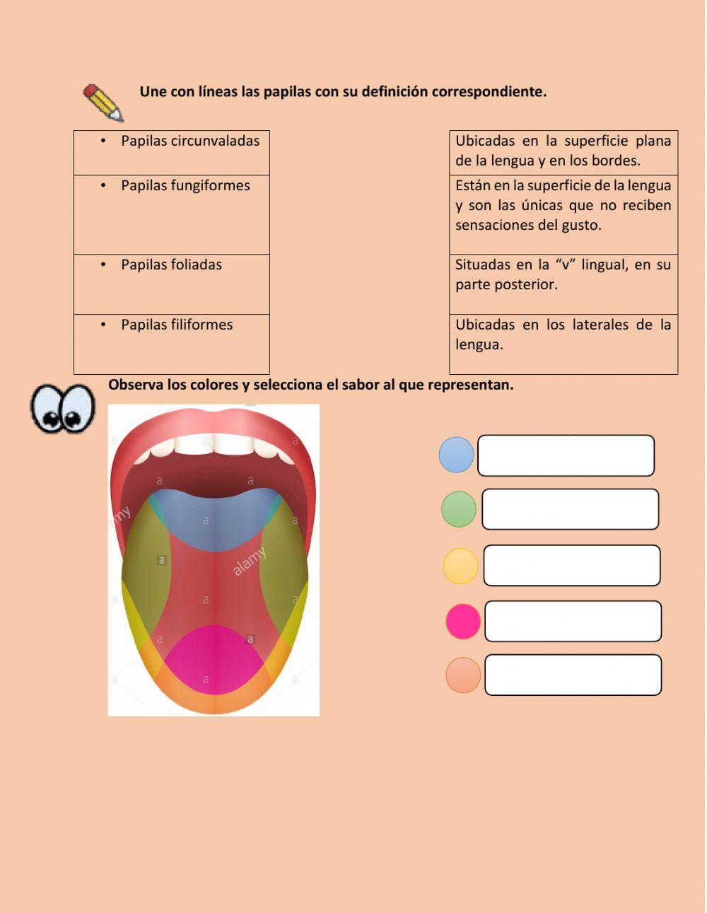 Repaso de ciencias naturales