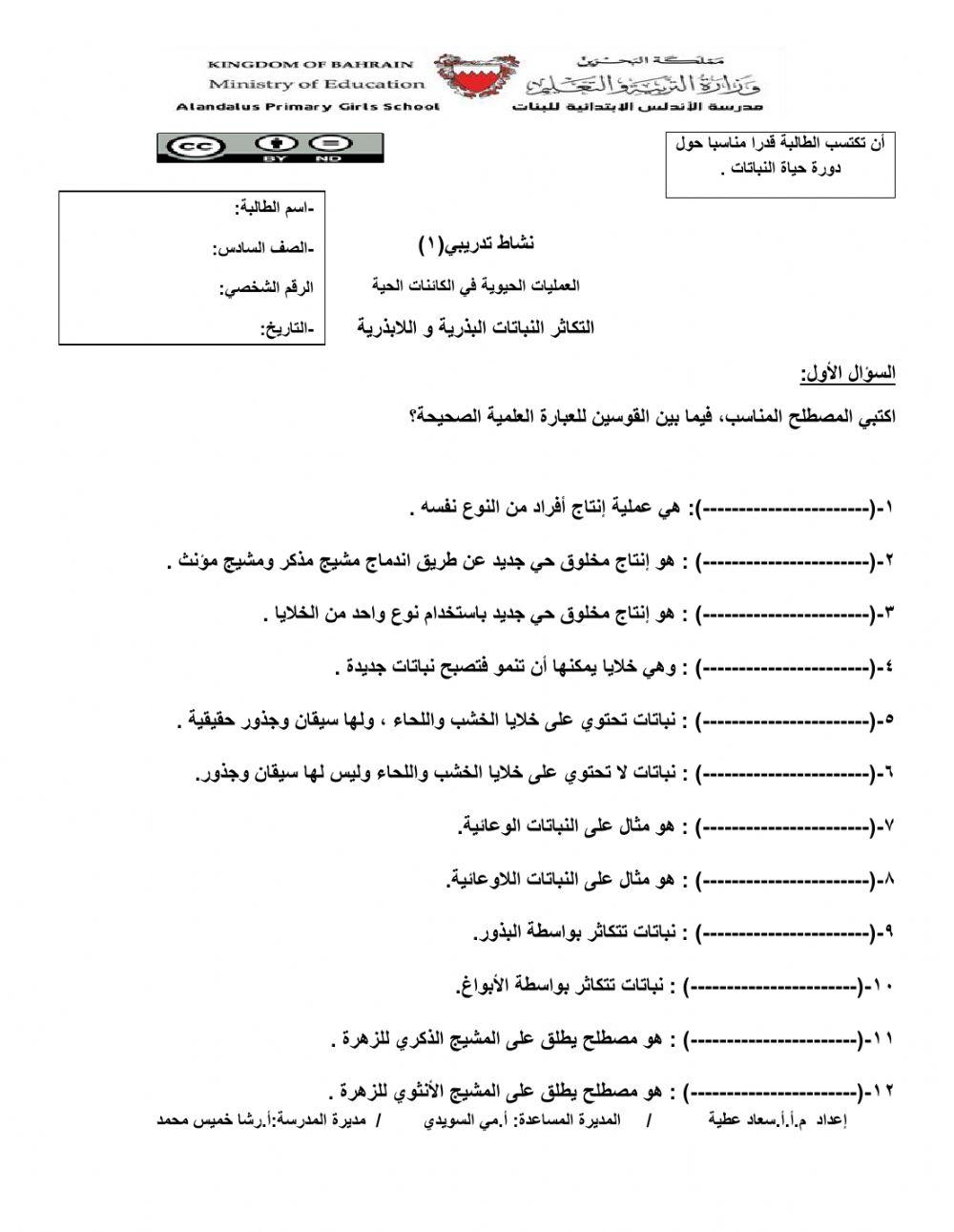 دورة حياة النباتات البذرية والابذرية