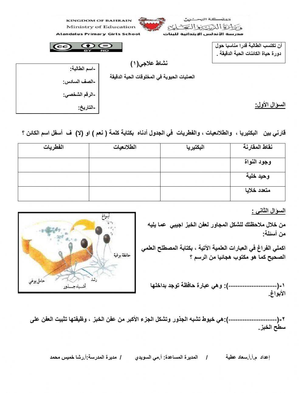 دورة حياة الكائنات الحية الدقيقة