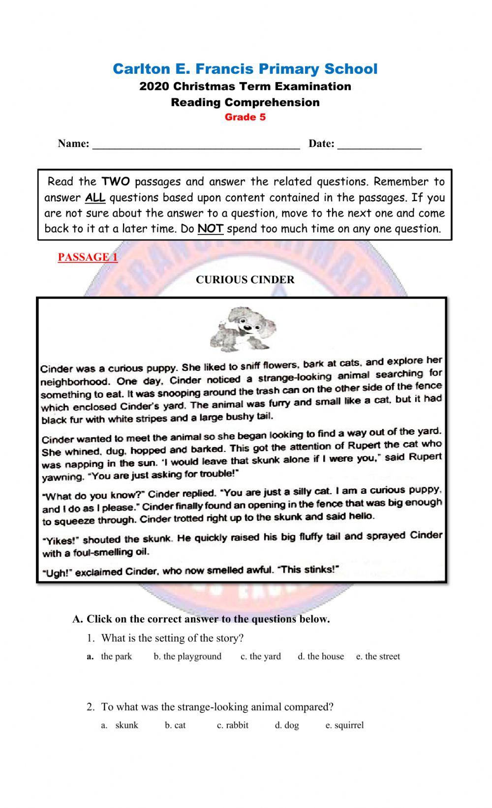 Reading Comprehension Exam updated 