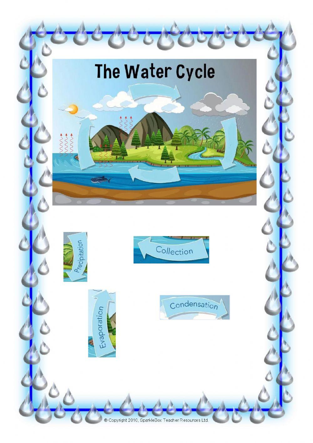 The Water Cycle