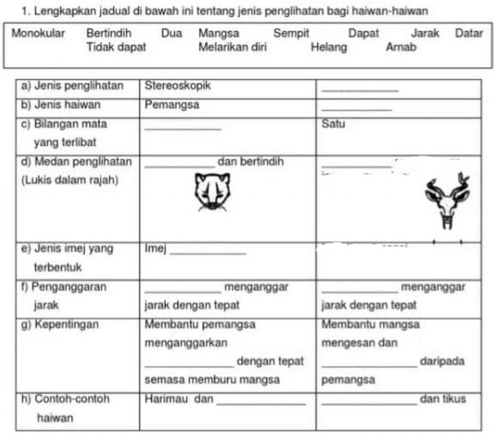Sains Tingkatan 3 Penglihatan Stereoskopik dan Monokular