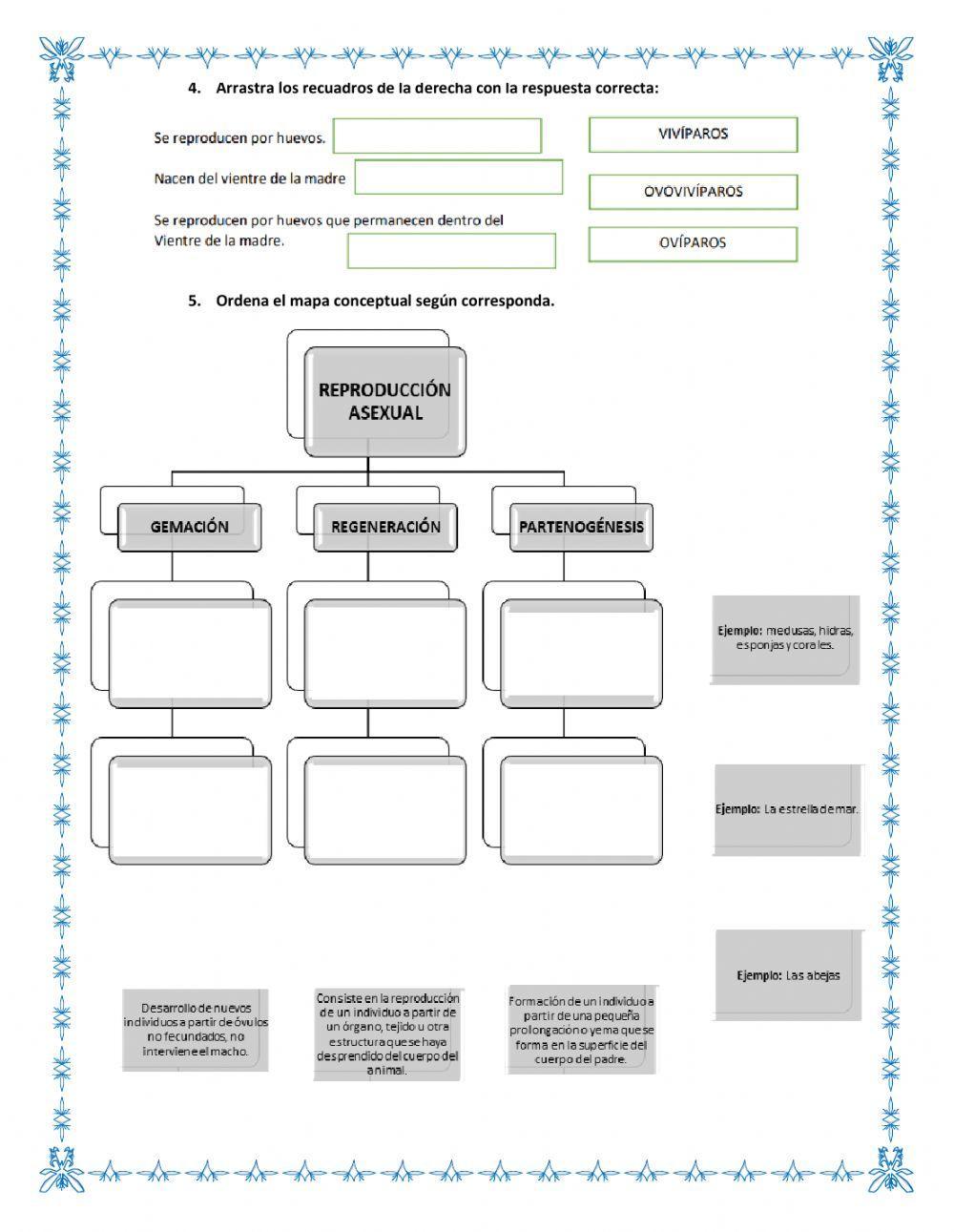 Reproducción de Animales Invertebrados.