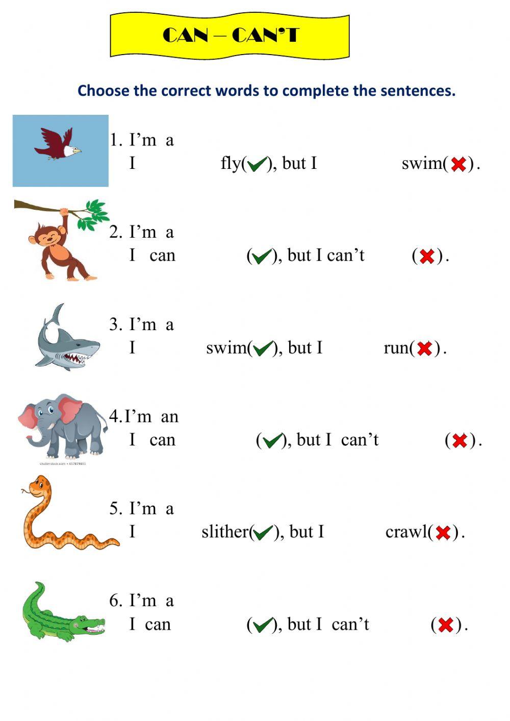 Can can't animals and action words