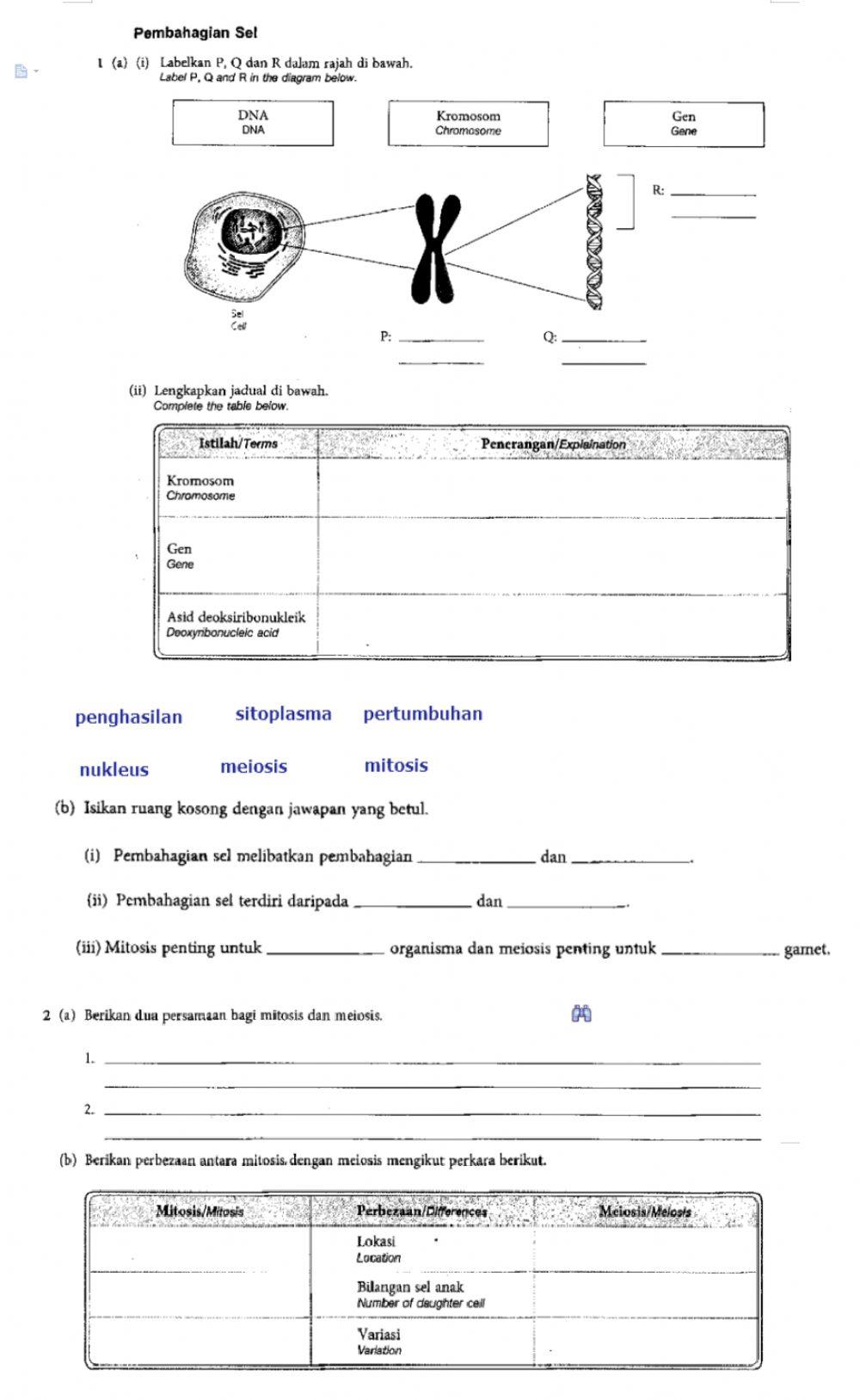 Aktiviti Uji Pemahaman 'Pembahagian Sel'