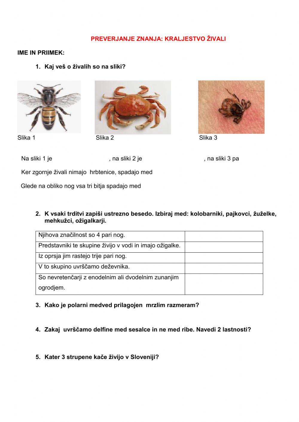 Preverjanje znanja kraljestvo živali