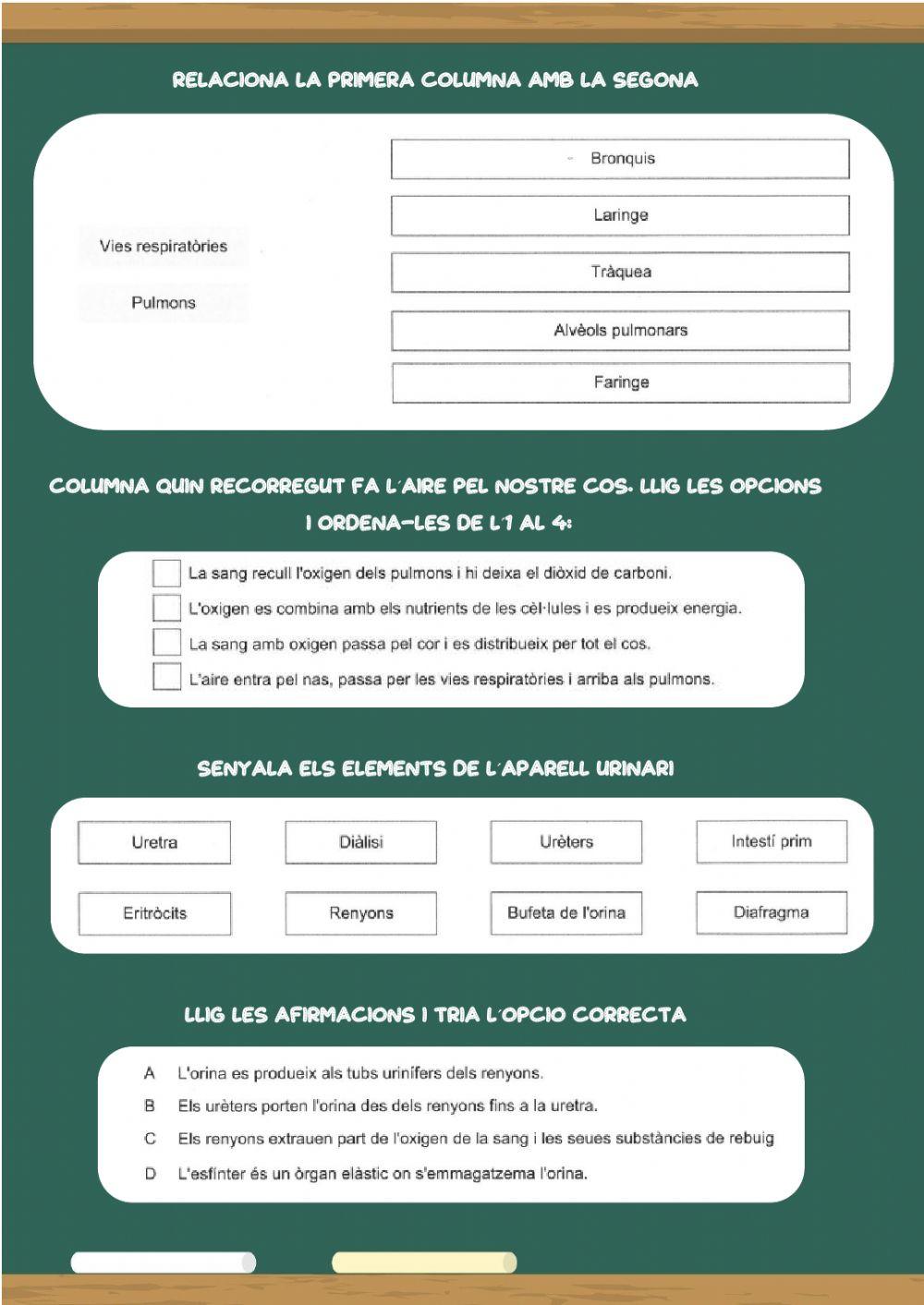 Funció de nutrició