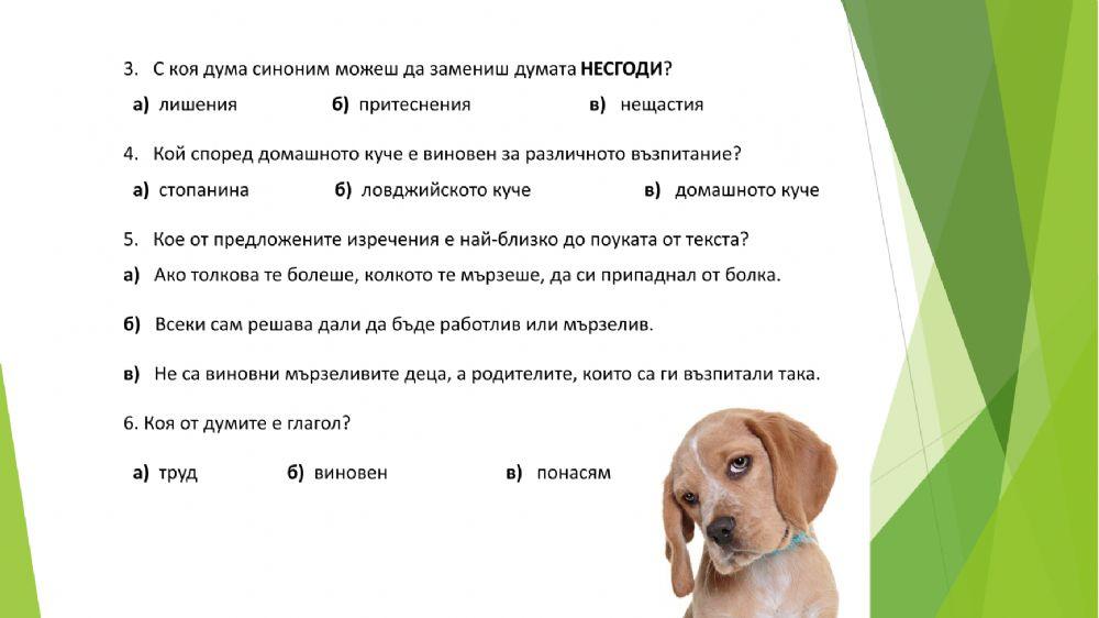 Четене с разбиране