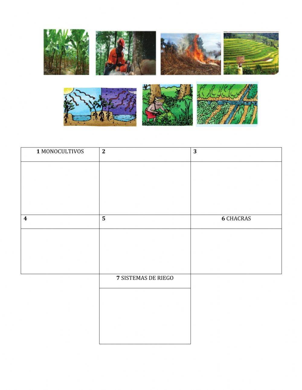 Evaluacion de ciencias