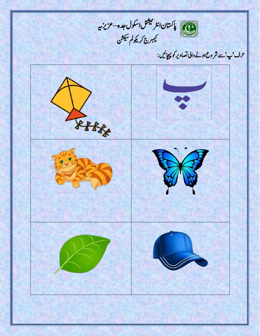 حرف 'پ' سے شروع ہونے والی تصاوير کو پہچانيں