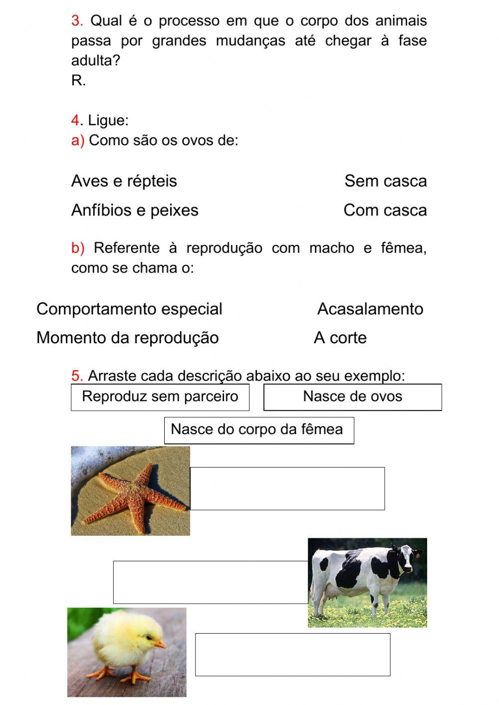 A reprodução dos animais