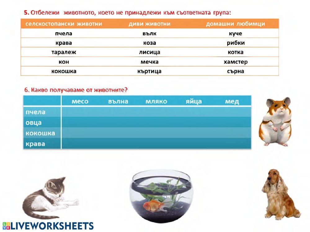 Животните около нас