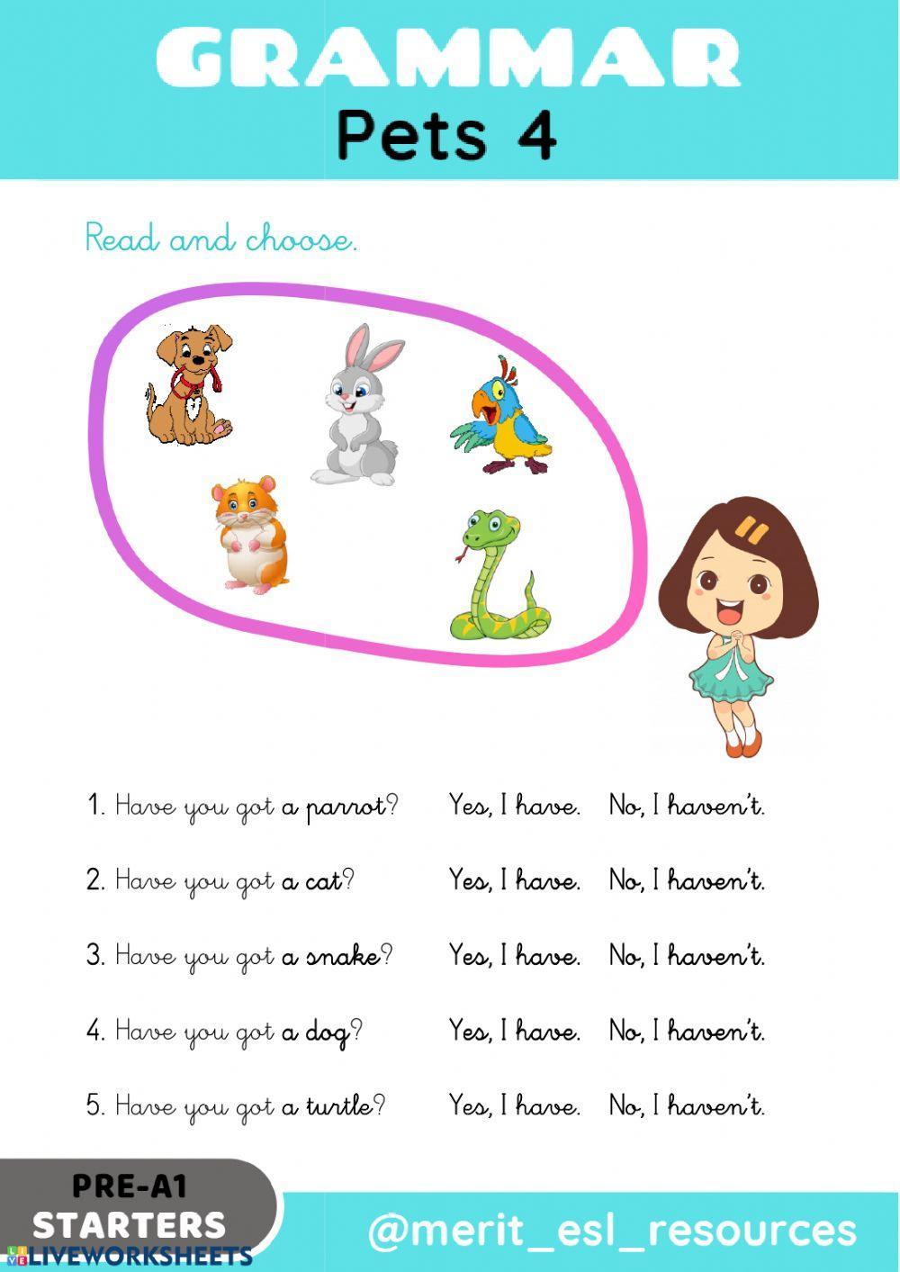 Pets - Read and choose