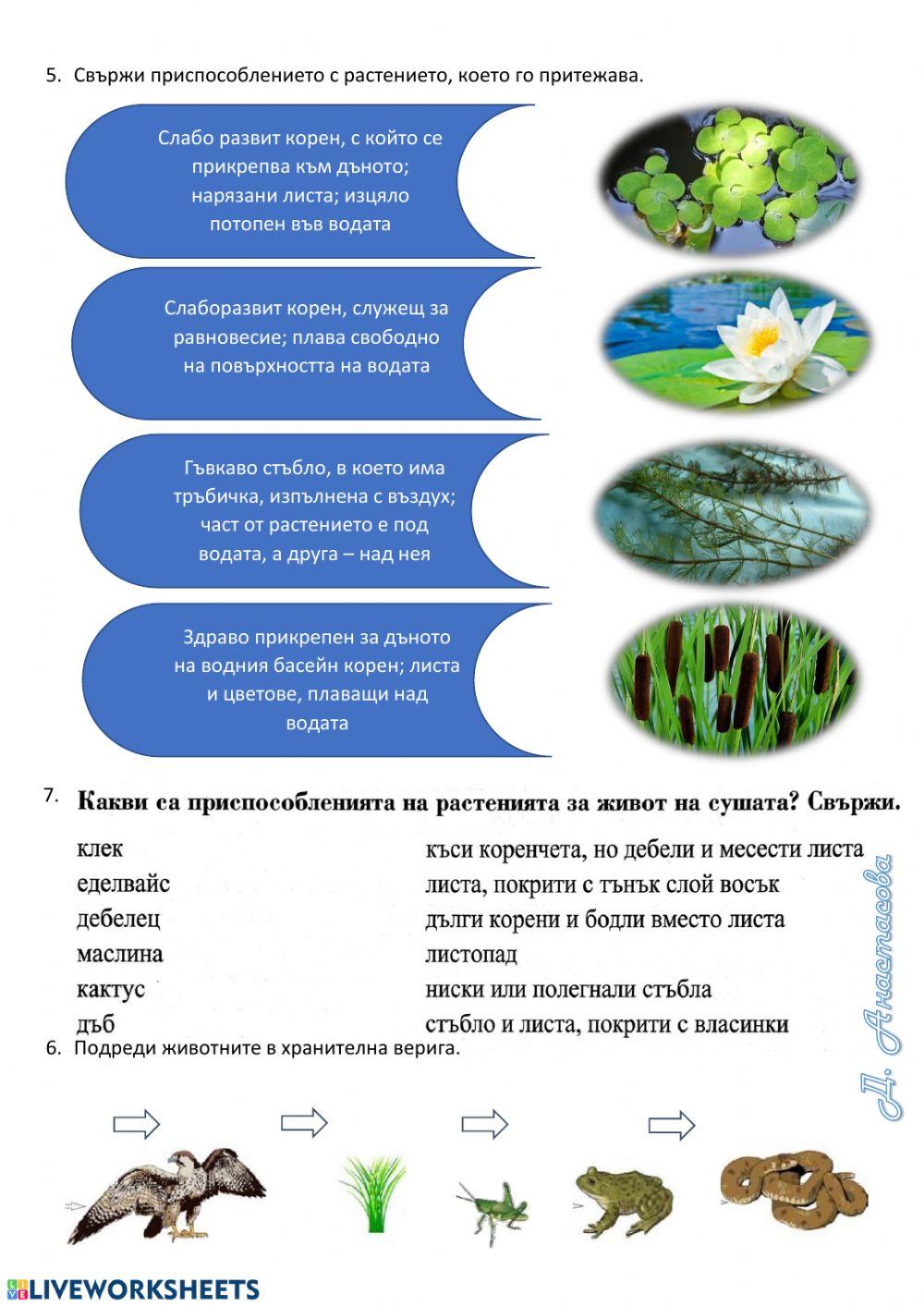 Живи организми - 3. клас Живи организми - 3. клас