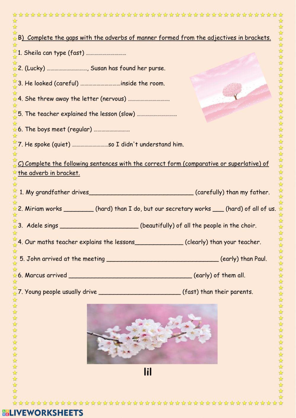 Can,could,adverbs,comparisons