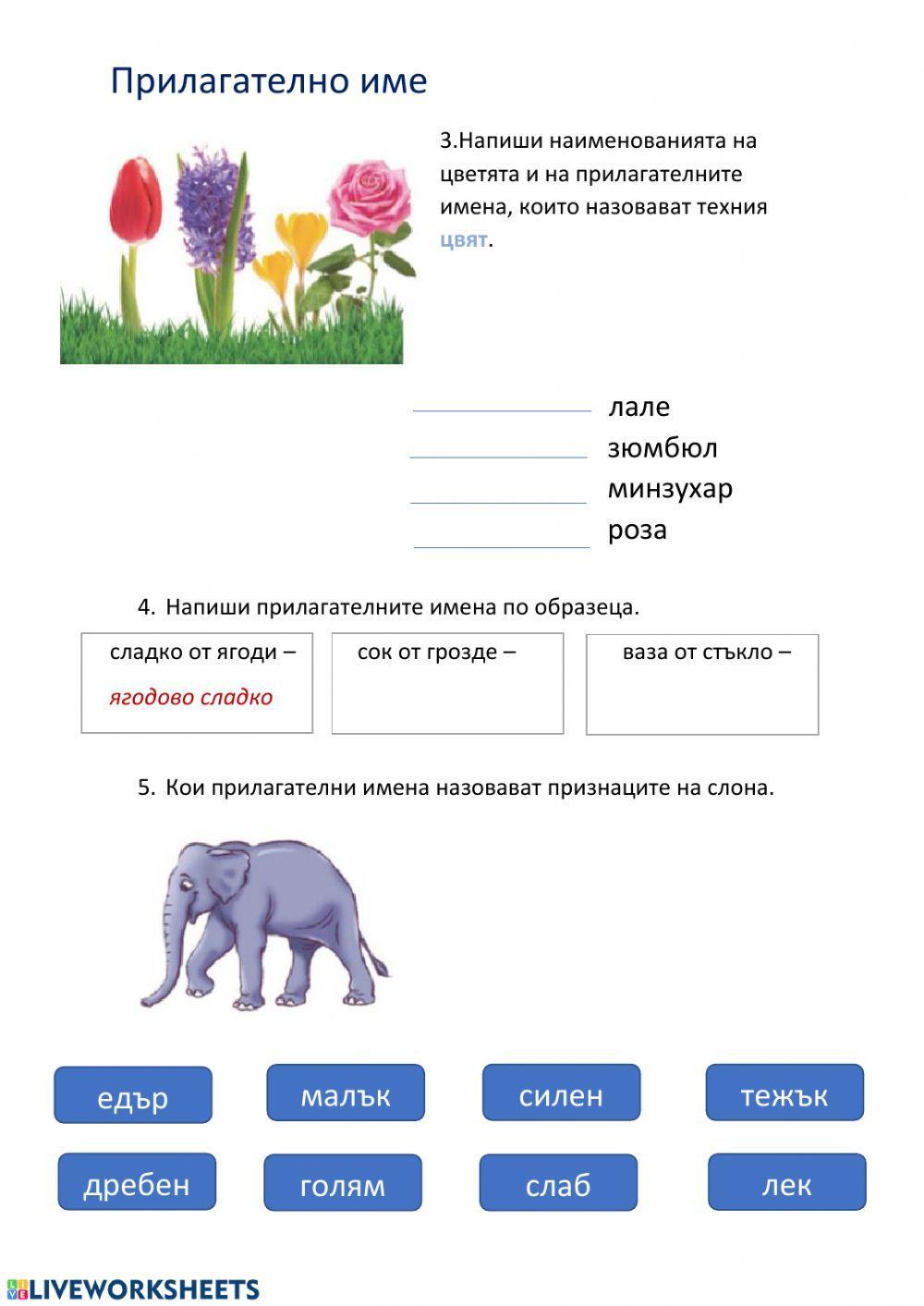 Прилагателно име