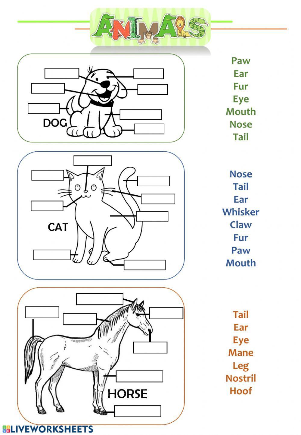 Animal parts 1 Animal parts 1
