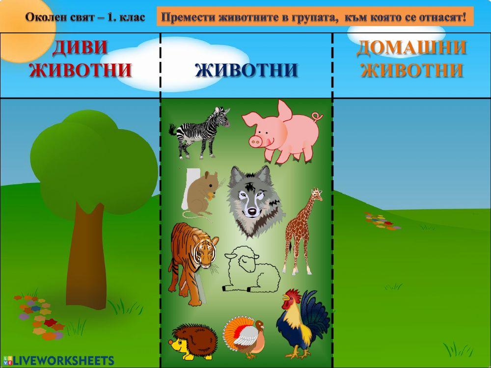 Околен свят - 1.клас | Live Worksheets
