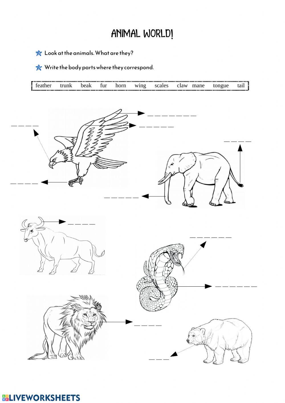 Animals' Body Parts