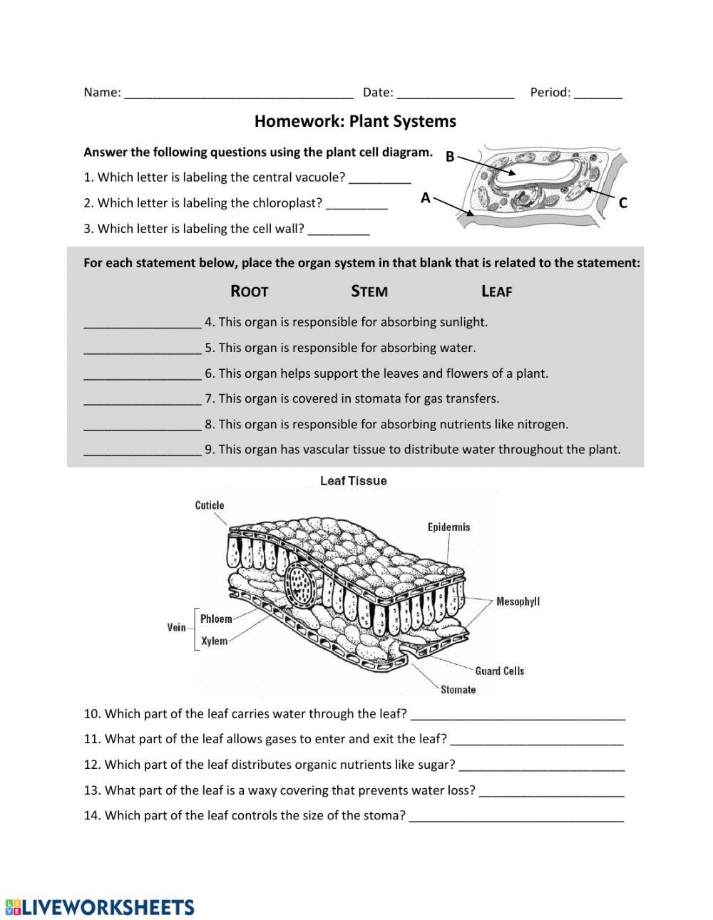 Plant Systems