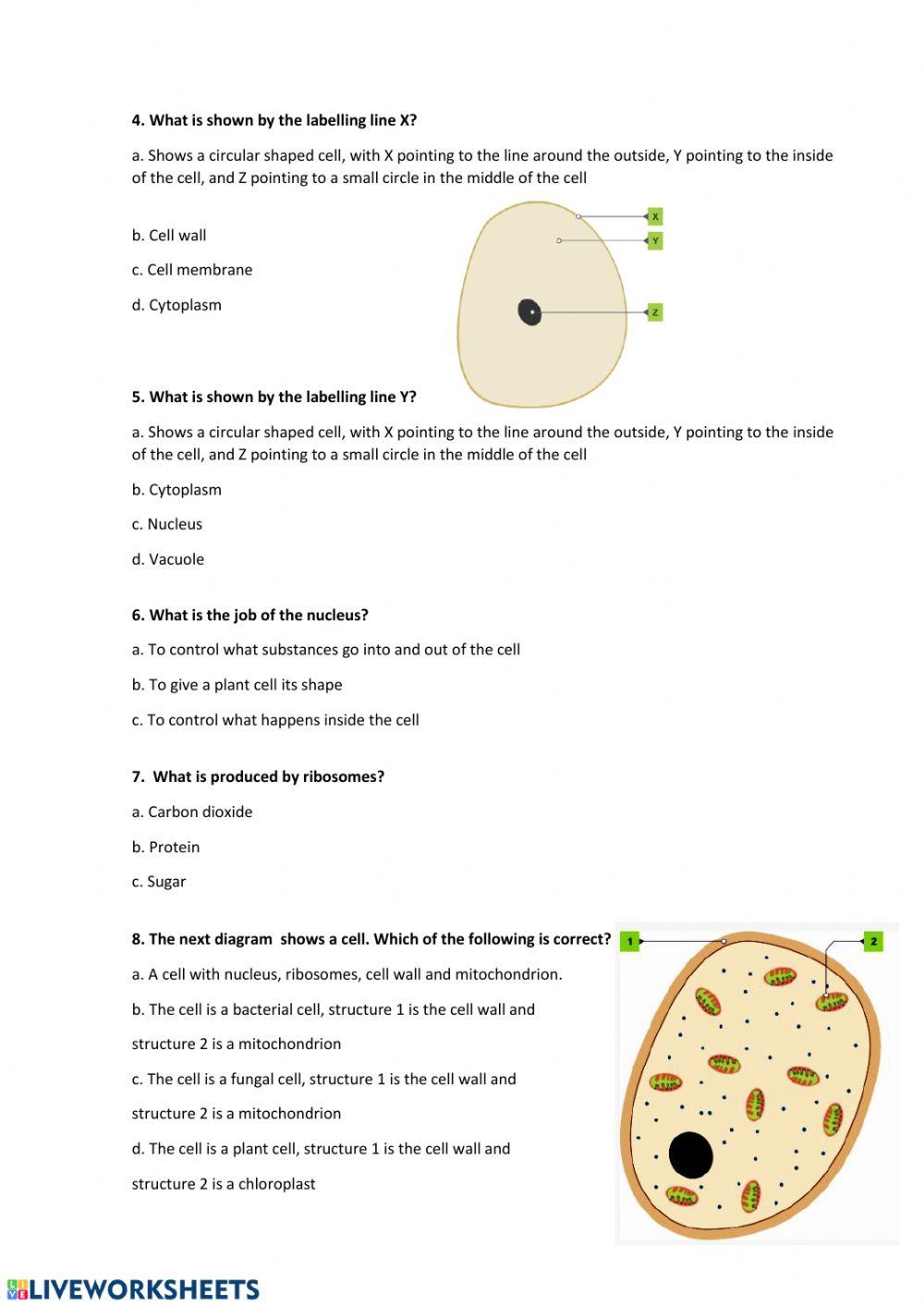 FIRST TERM SCIENCE EXAM 2020