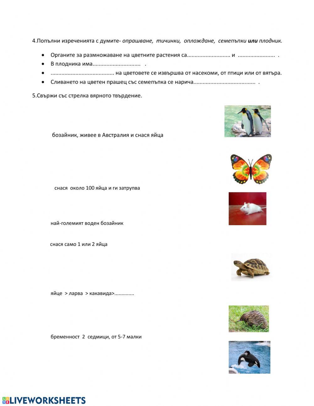 Жизнени процеси - обобщение