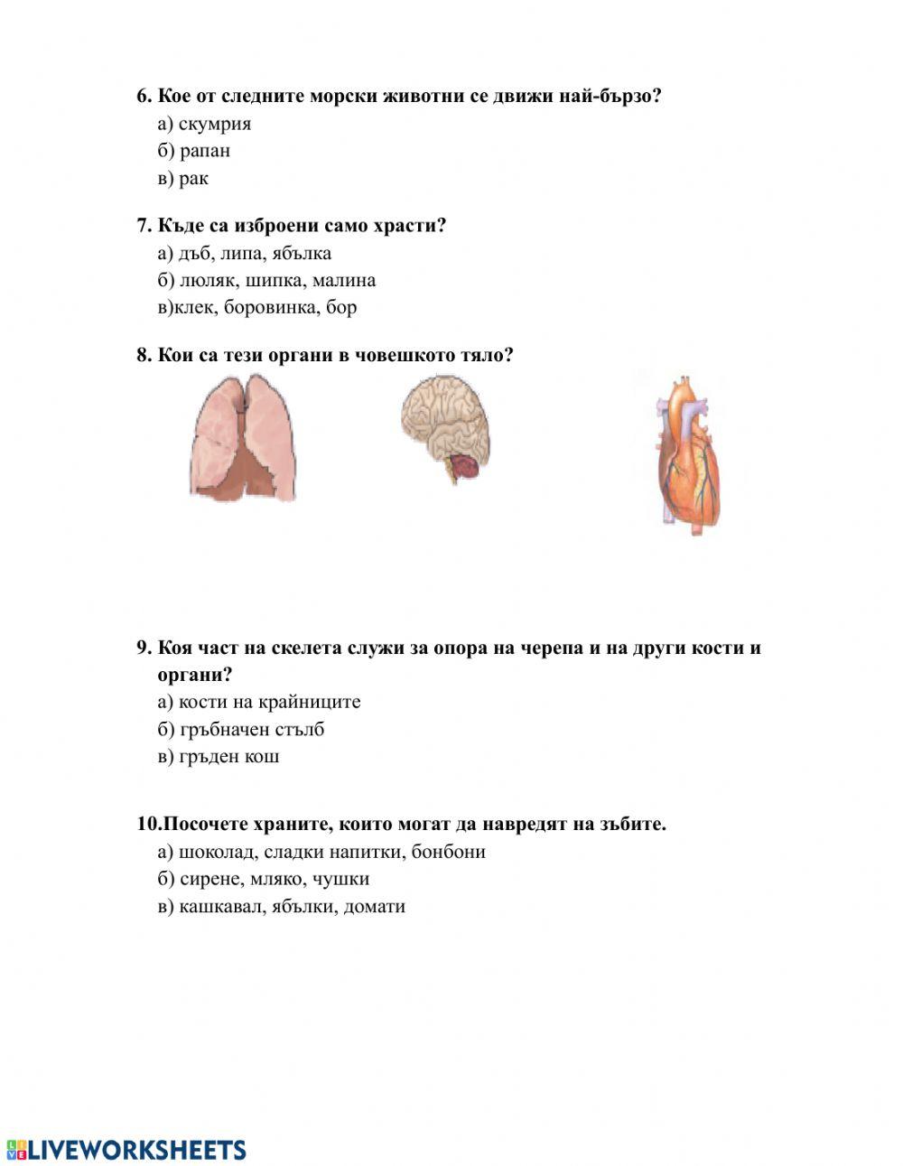 Какво научих Какво научих