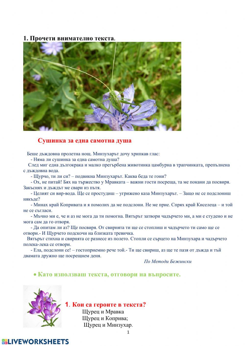 БЕЛ- Щурец и Минзухар