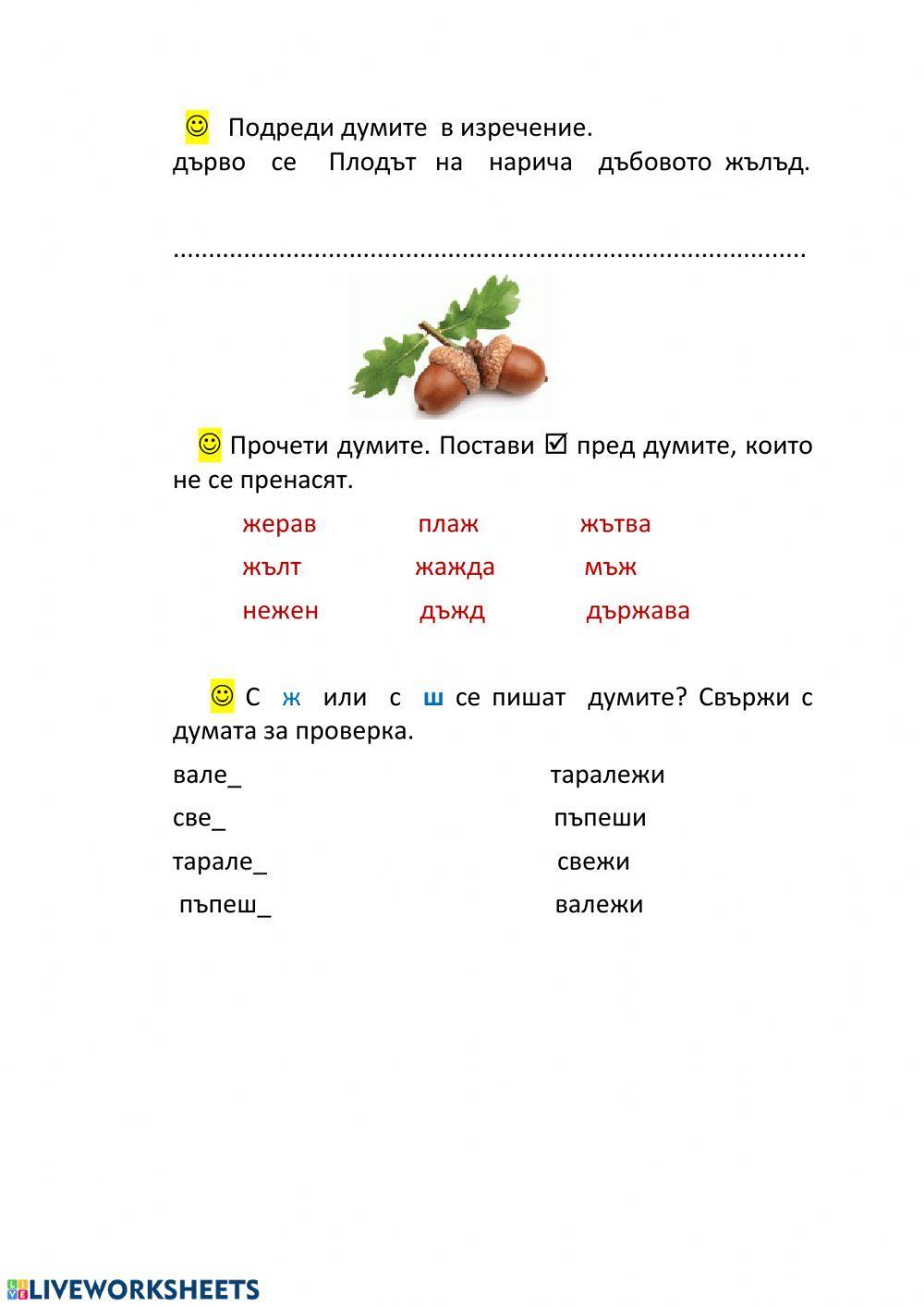 Звук и буква Ж,ж