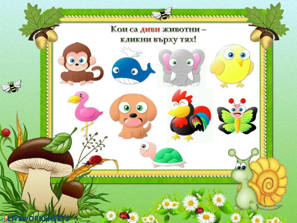 Диви животни - 1.клас Диви животни - 1.клас