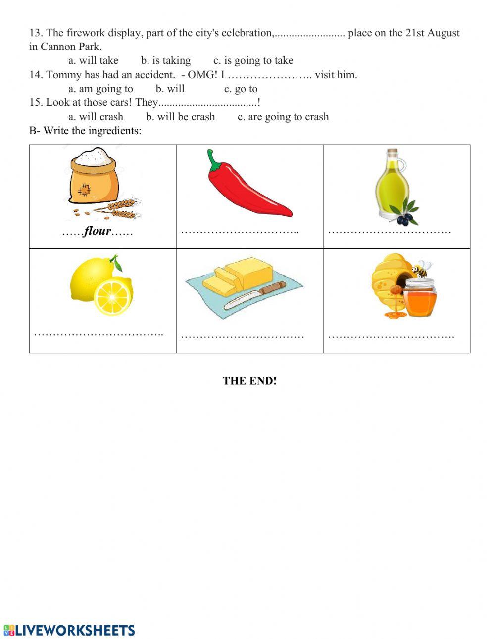 Will or Be going to Grade 5