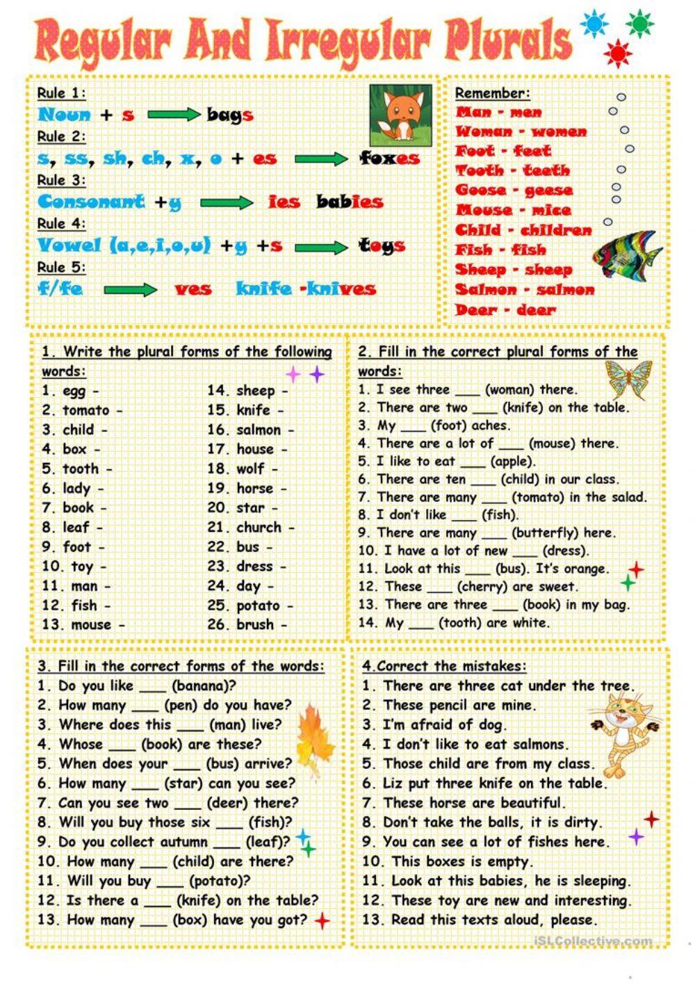 5406031 Regular and irregular plural nouns