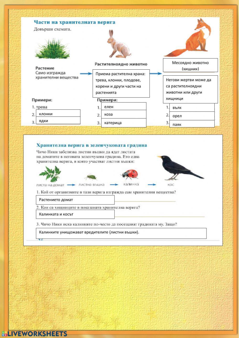 61145 | Хранителни вериги | GalyaGradeva