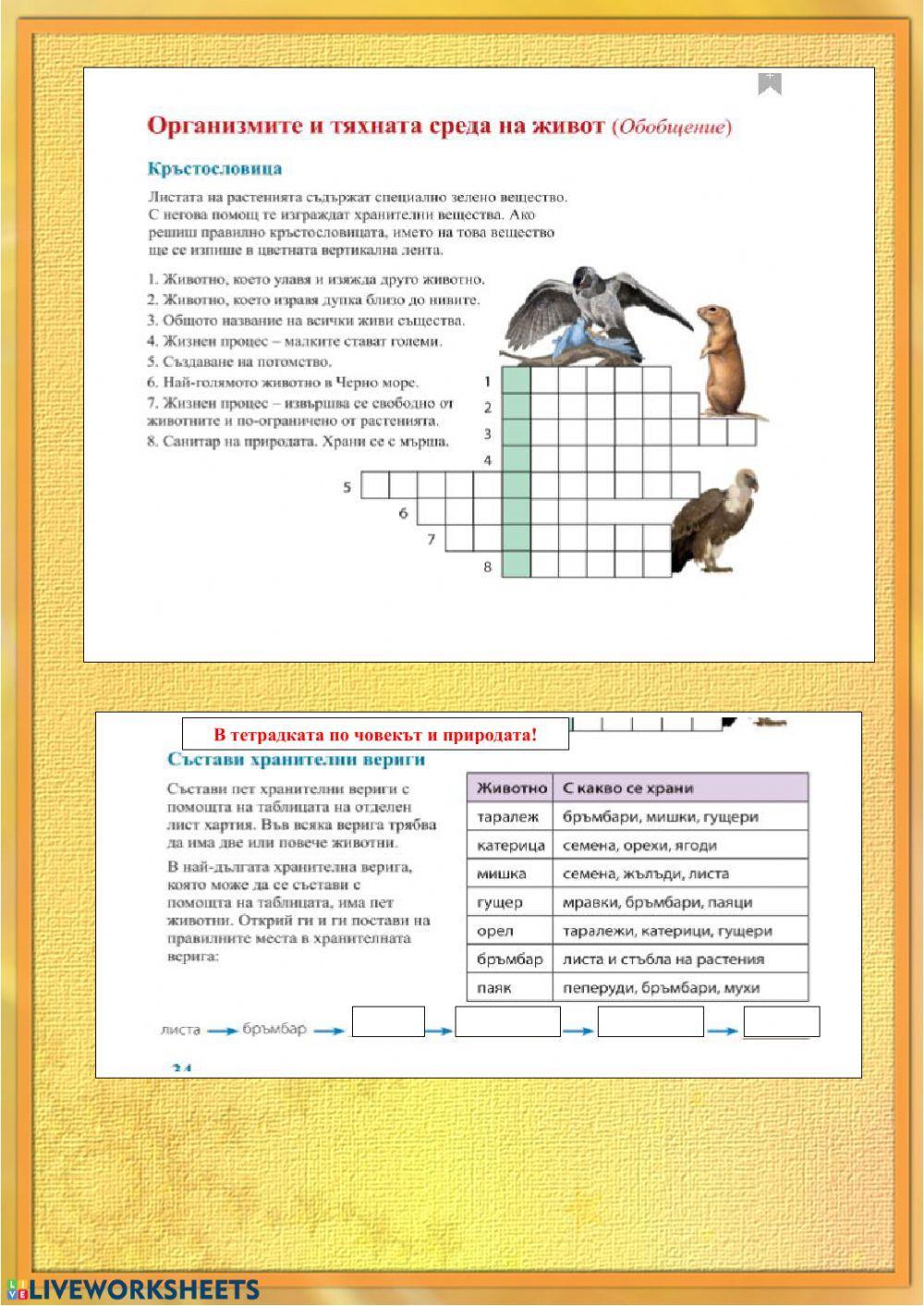 Хранителни вериги