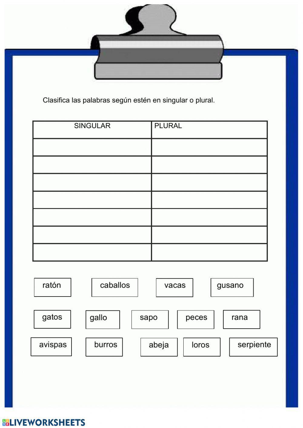El singular y el plural