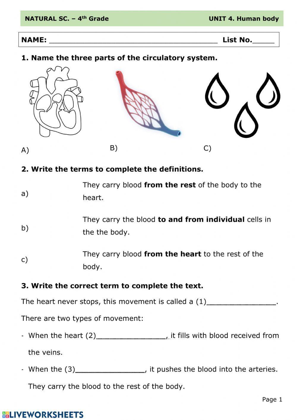 61209 Circulatory System Cuartocossio 61209-circulatory-system-cuartocossio