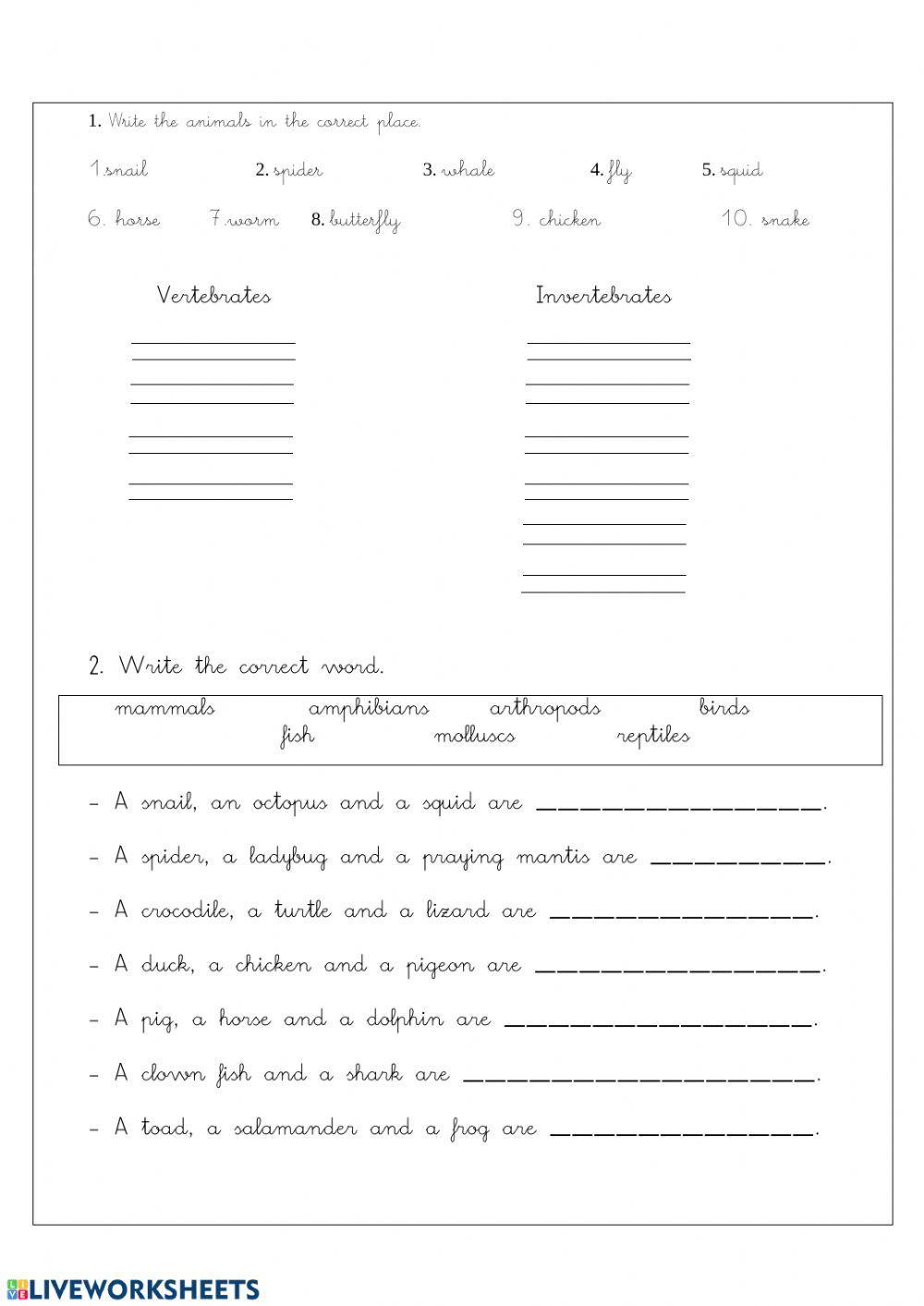 Vertebrates and invertebrates