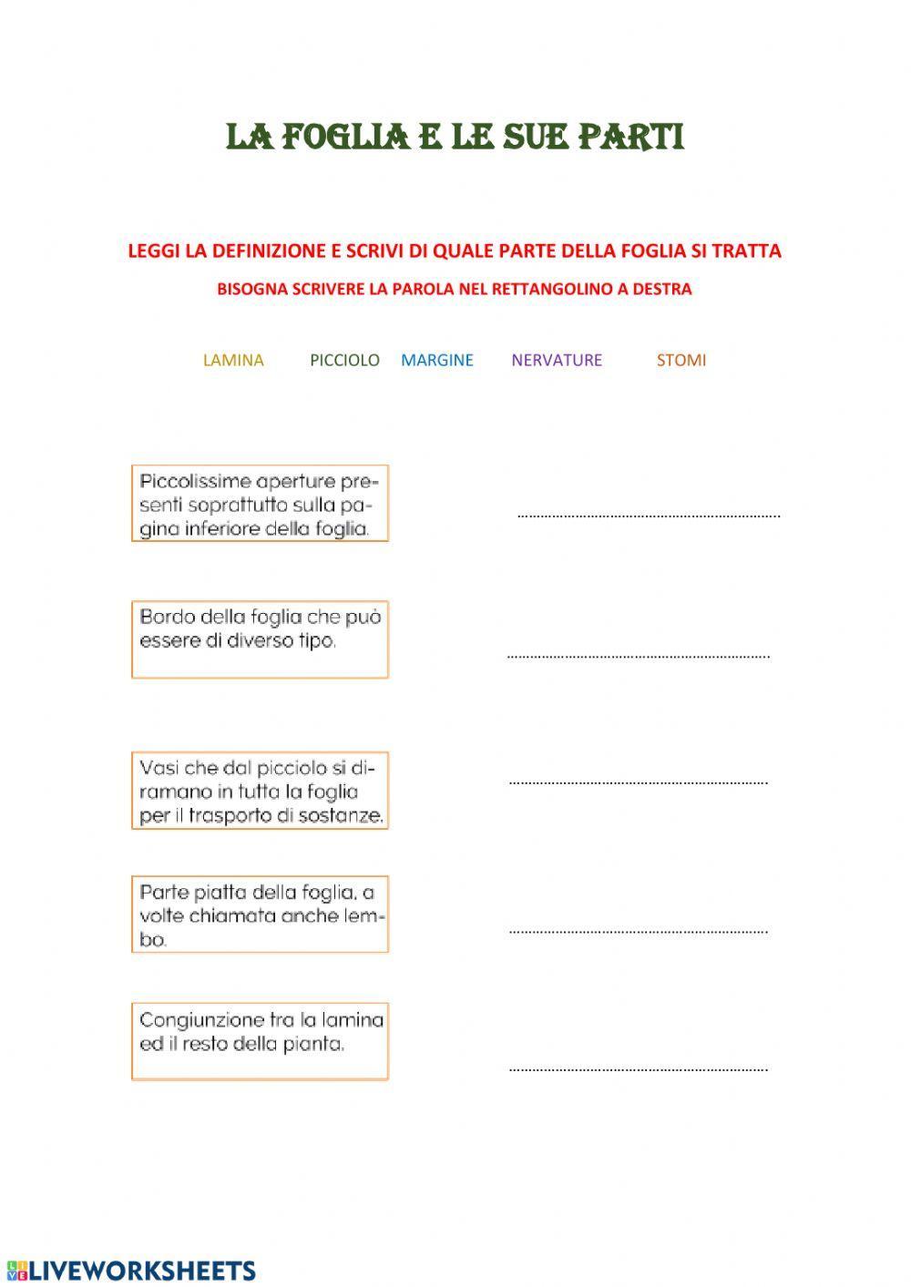 La foglia e le sue parti